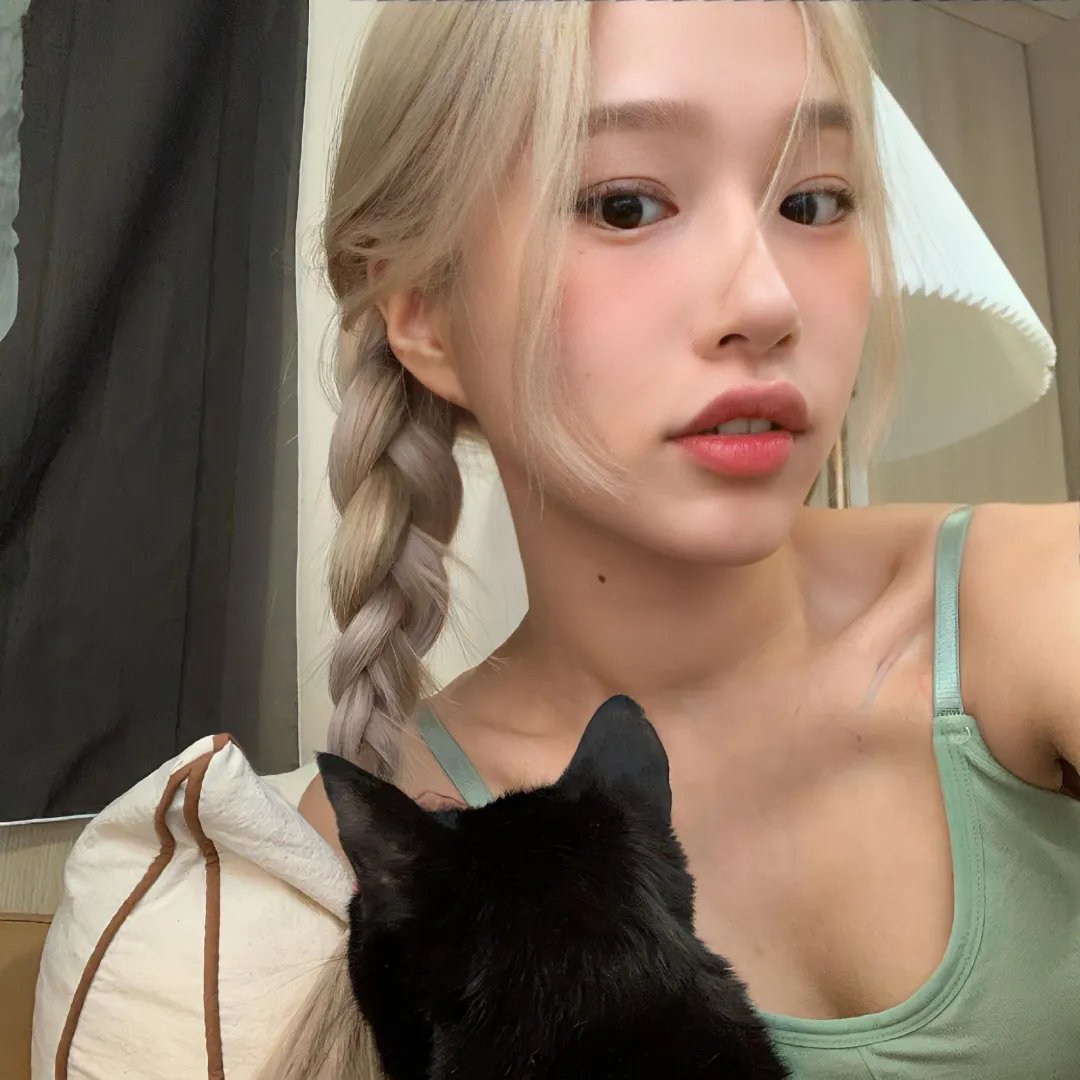 猫2020